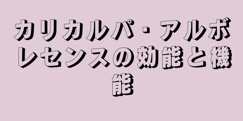 カリカルパ・アルボレセンスの効能と機能