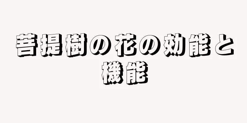 菩提樹の花の効能と機能