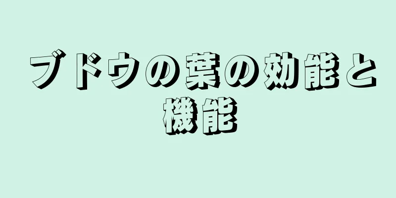 ブドウの葉の効能と機能
