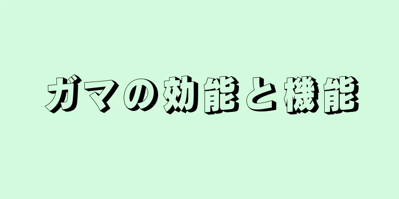 ガマの効能と機能