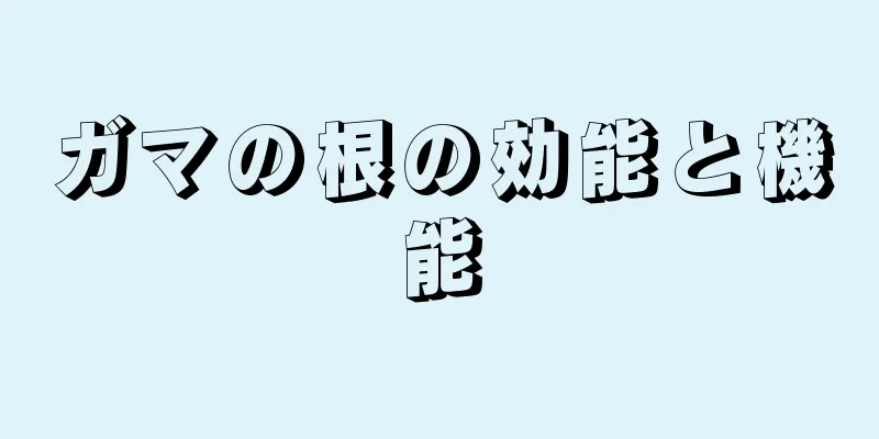 ガマの根の効能と機能