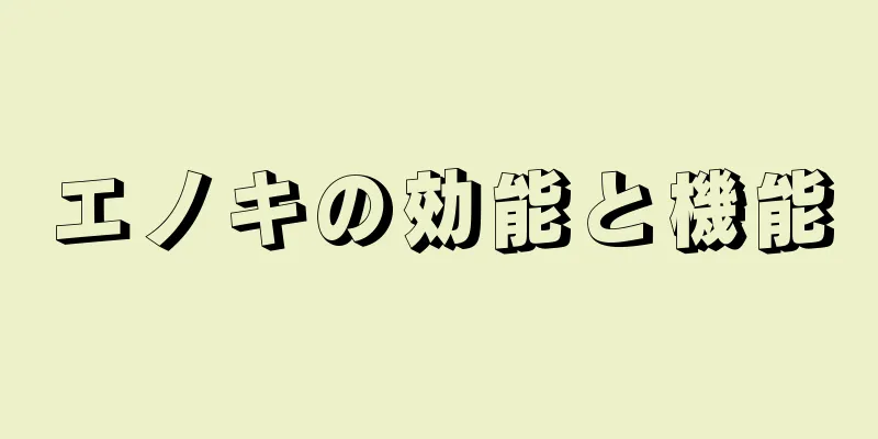 エノキの効能と機能