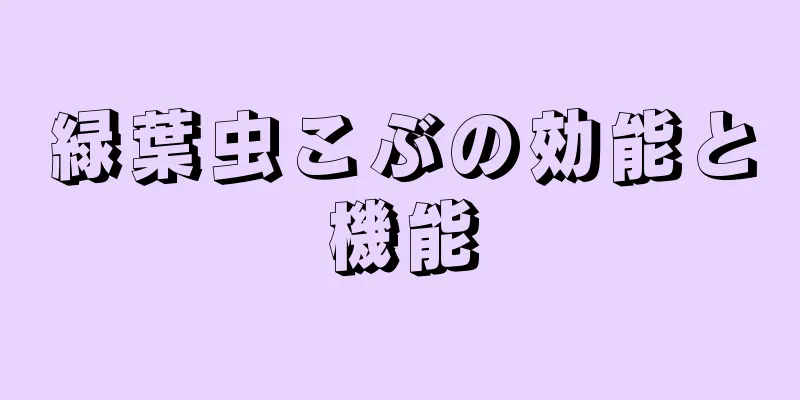 緑葉虫こぶの効能と機能