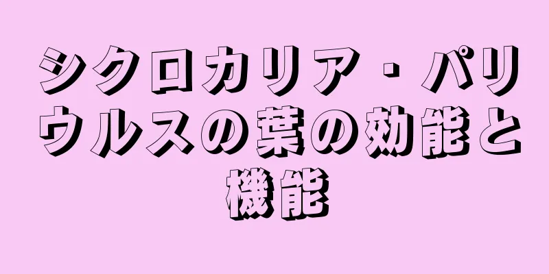 シクロカリア・パリウルスの葉の効能と機能