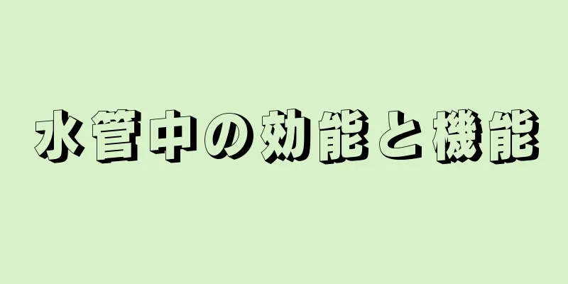 水管中の効能と機能