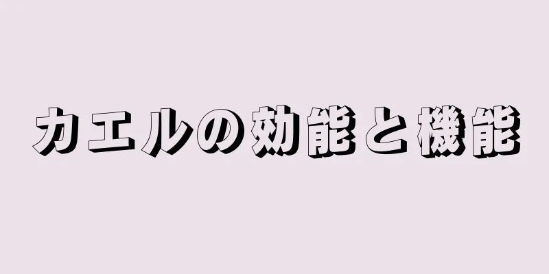 カエルの効能と機能