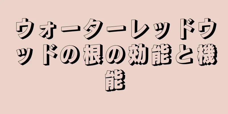 ウォーターレッドウッドの根の効能と機能