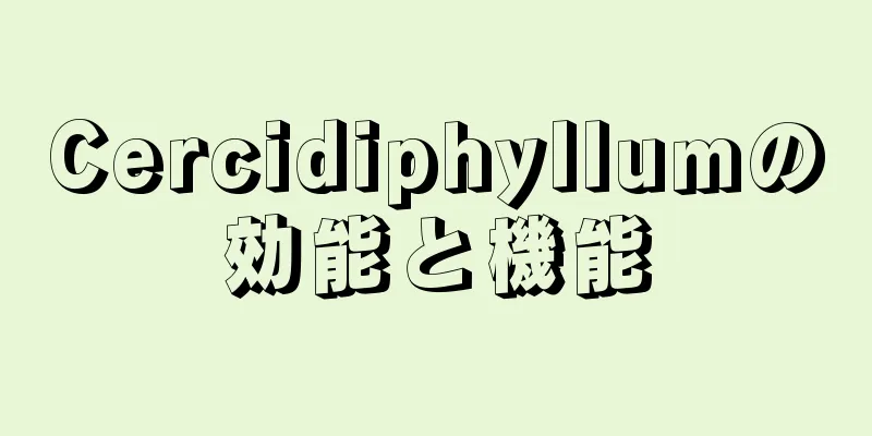 Cercidiphyllumの効能と機能