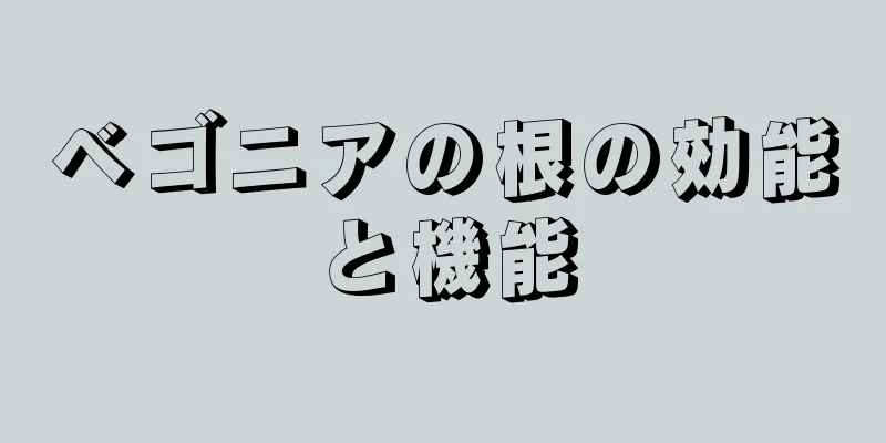 ベゴニアの根の効能と機能