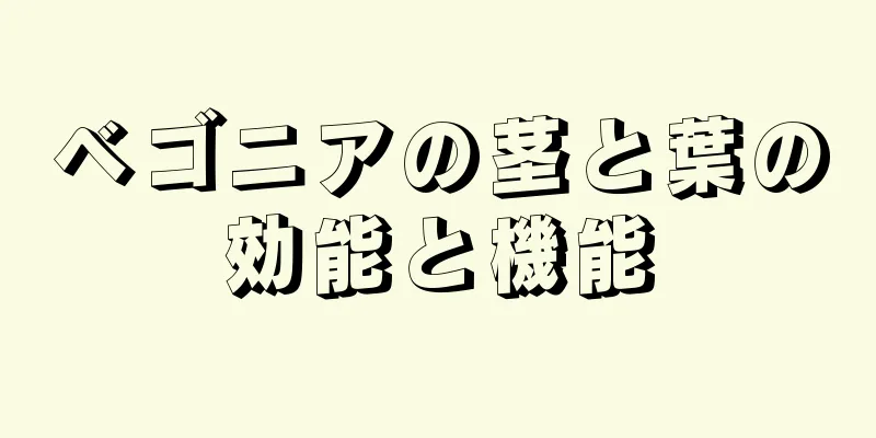 ベゴニアの茎と葉の効能と機能