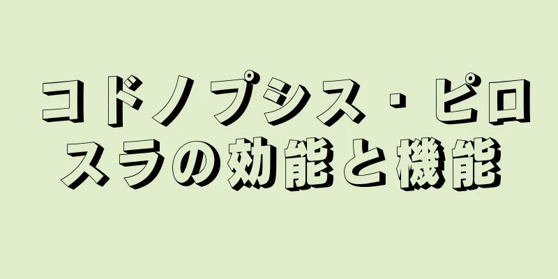 コドノプシス・ピロスラの効能と機能
