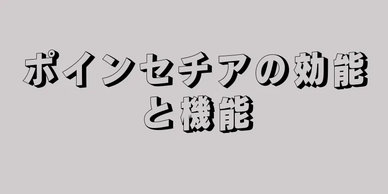 ポインセチアの効能と機能