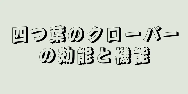 四つ葉のクローバーの効能と機能