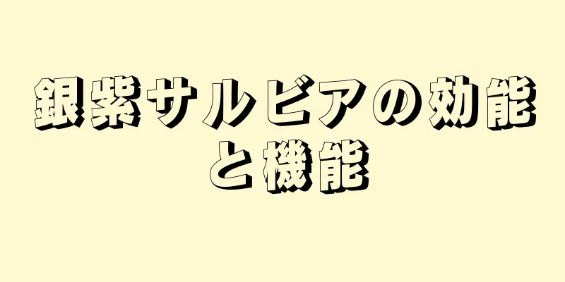 銀紫サルビアの効能と機能