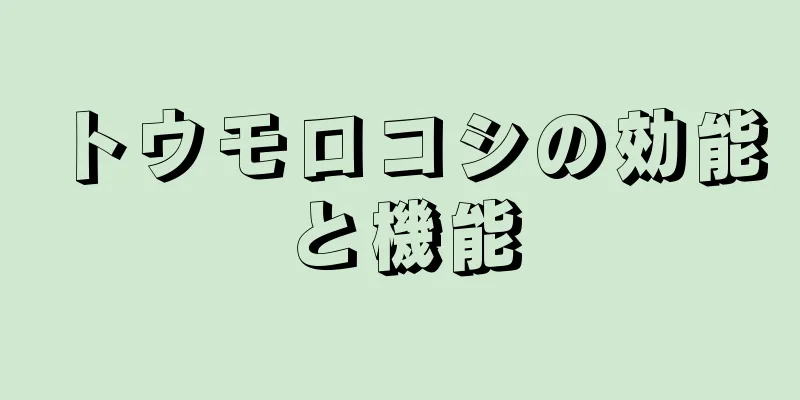 トウモロコシの効能と機能