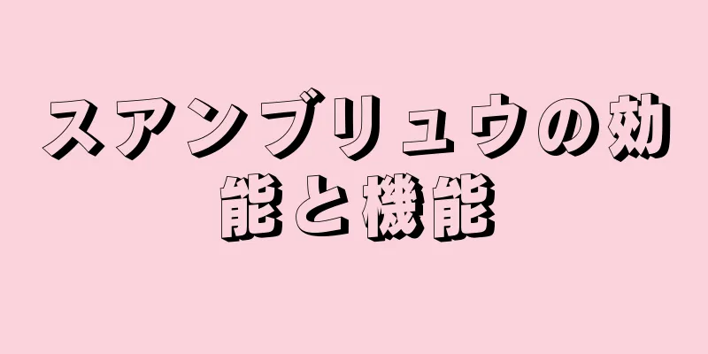スアンブリュウの効能と機能