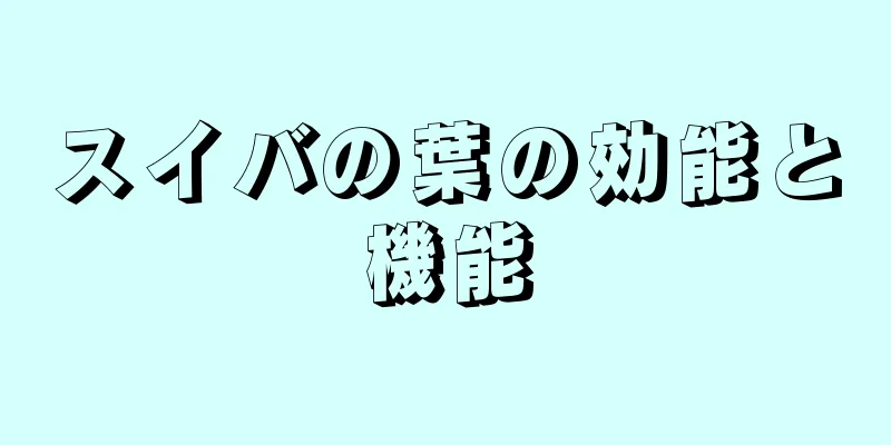 スイバの葉の効能と機能