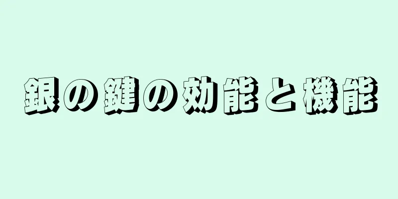 銀の鍵の効能と機能