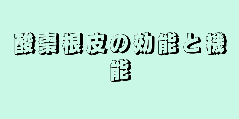 酸棗根皮の効能と機能