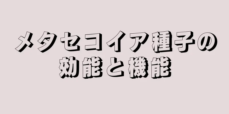メタセコイア種子の効能と機能