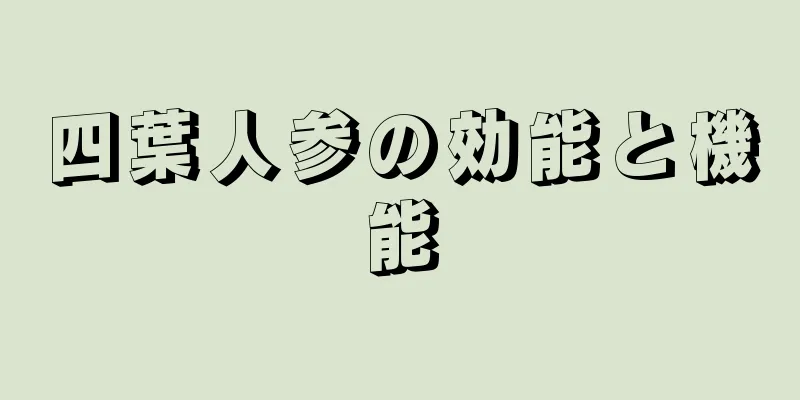 四葉人参の効能と機能