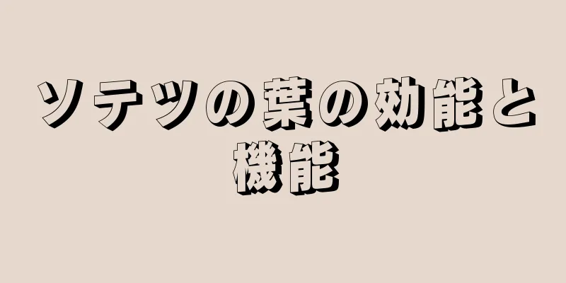 ソテツの葉の効能と機能