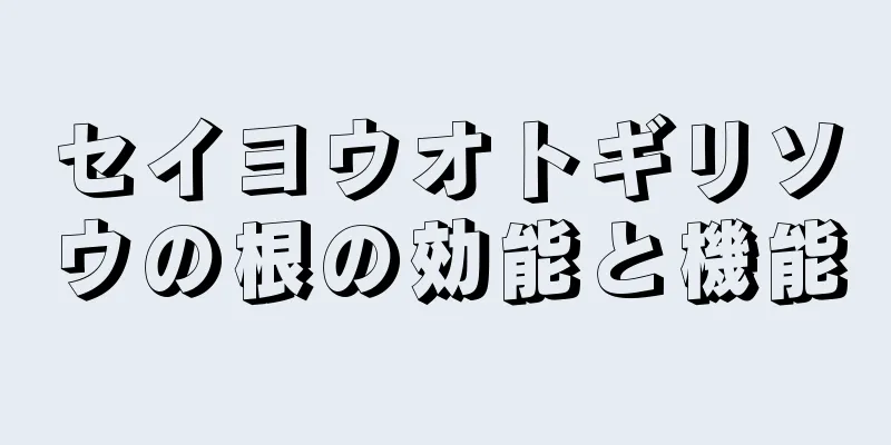 セイヨウオトギリソウの根の効能と機能