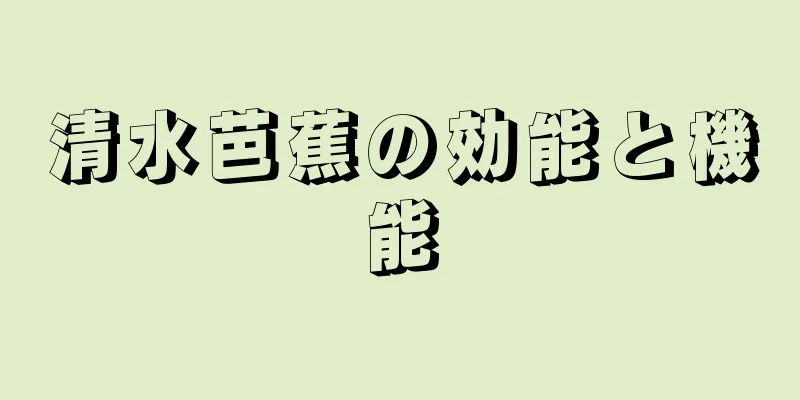 清水芭蕉の効能と機能