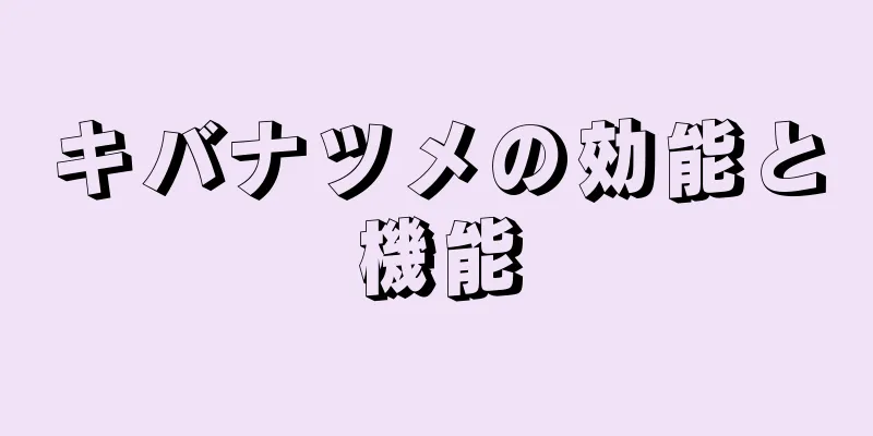 キバナツメの効能と機能