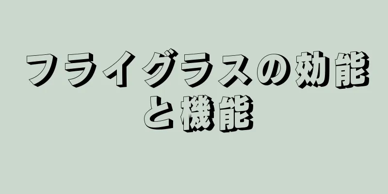 フライグラスの効能と機能