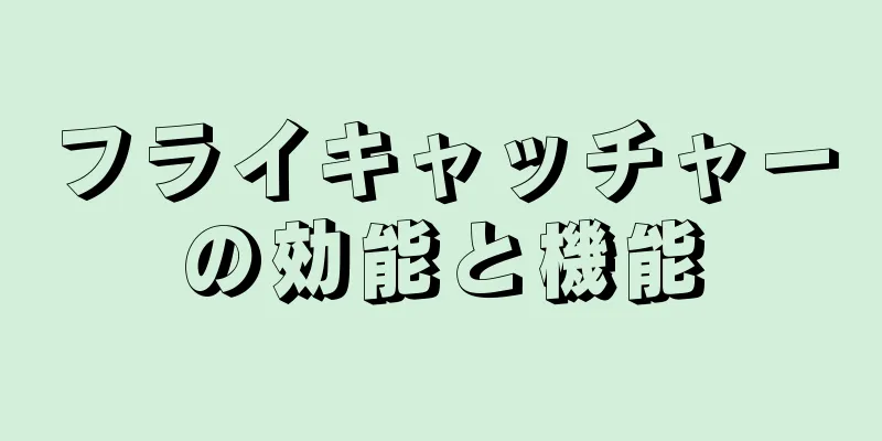 フライキャッチャーの効能と機能