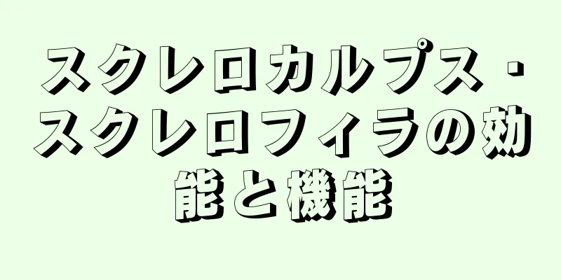 スクレロカルプス・スクレロフィラの効能と機能