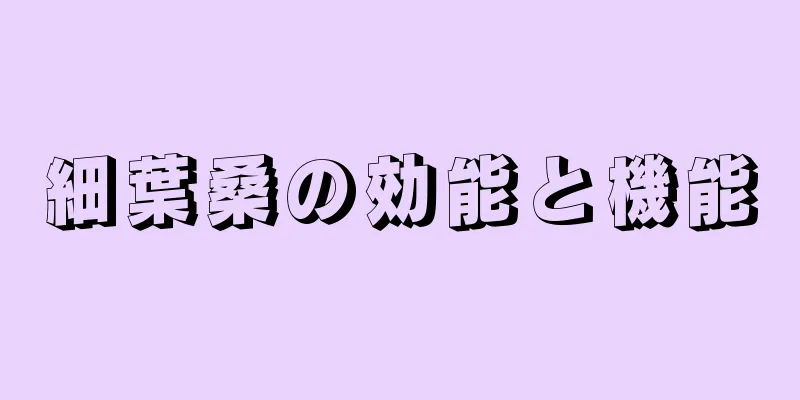 細葉桑の効能と機能