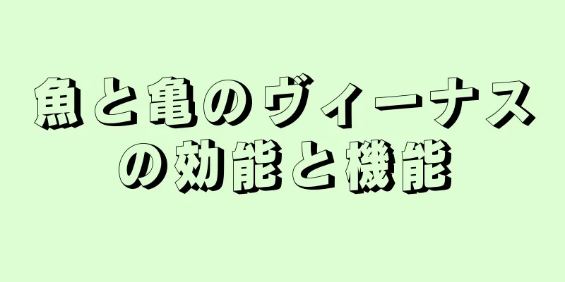 魚と亀のヴィーナスの効能と機能