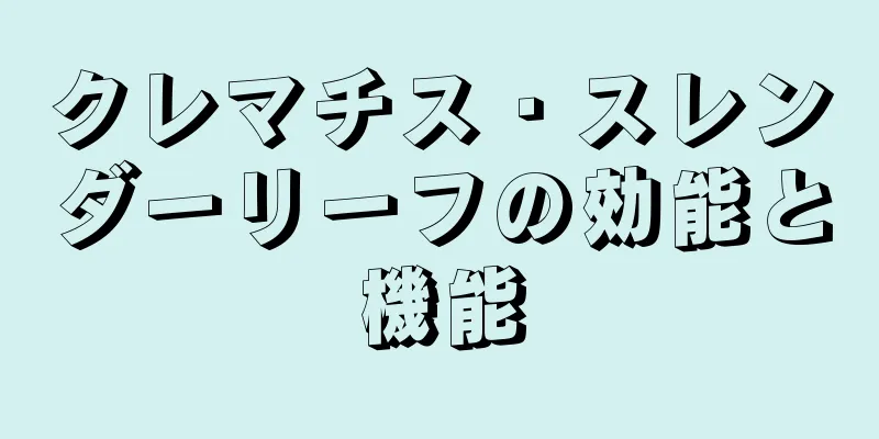 クレマチス・スレンダーリーフの効能と機能