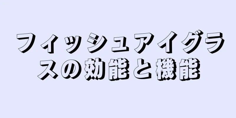 フィッシュアイグラスの効能と機能