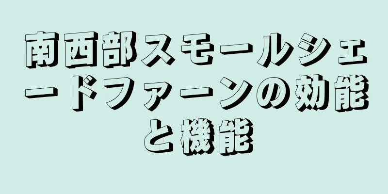 南西部スモールシェードファーンの効能と機能
