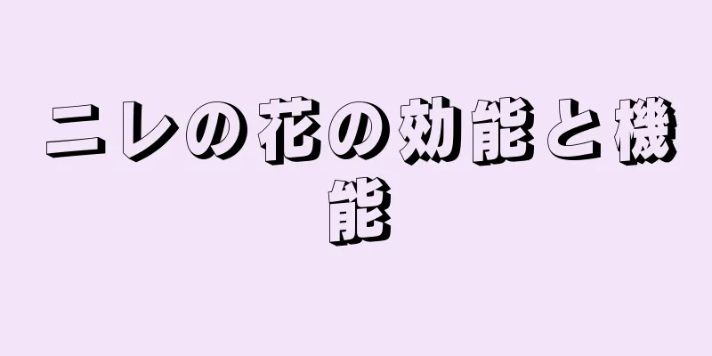 ニレの花の効能と機能