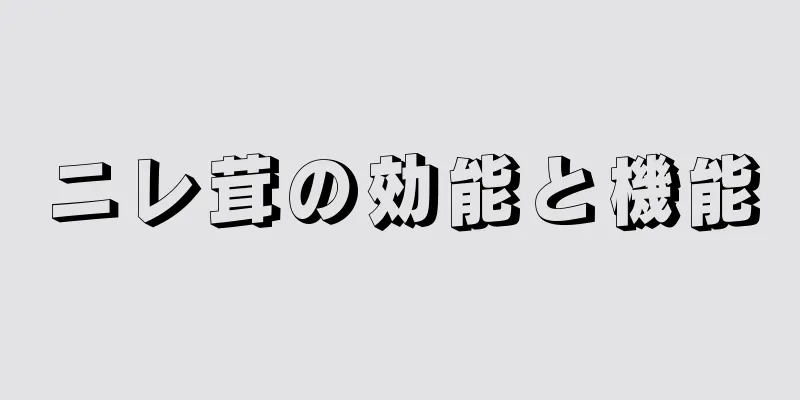 ニレ茸の効能と機能