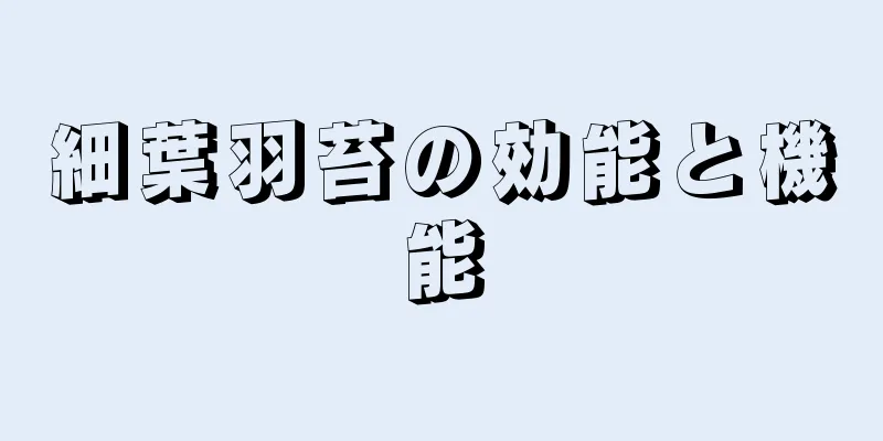 細葉羽苔の効能と機能