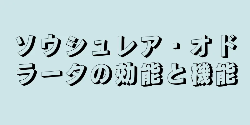 ソウシュレア・オドラータの効能と機能