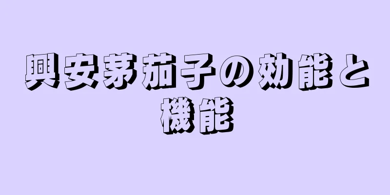興安茅茄子の効能と機能