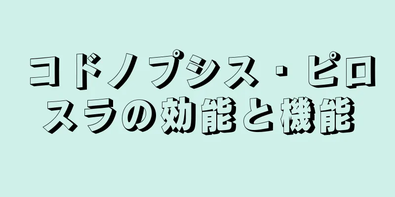 コドノプシス・ピロスラの効能と機能