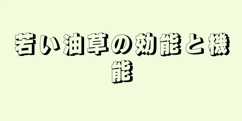 若い油草の効能と機能