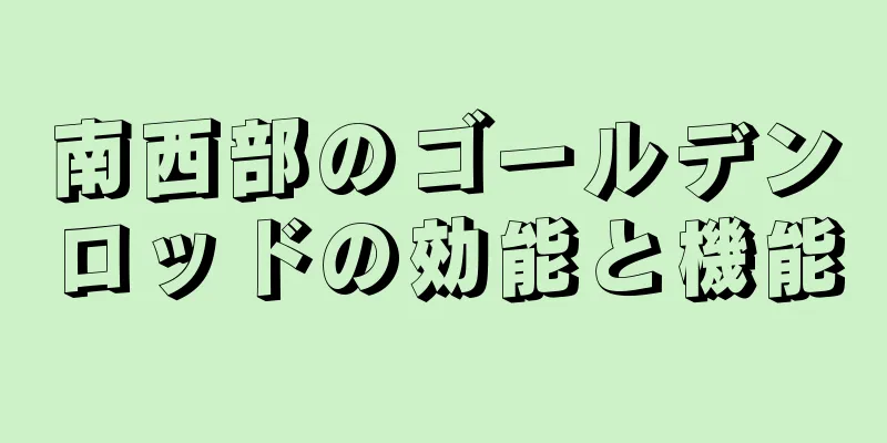 南西部のゴールデンロッドの効能と機能