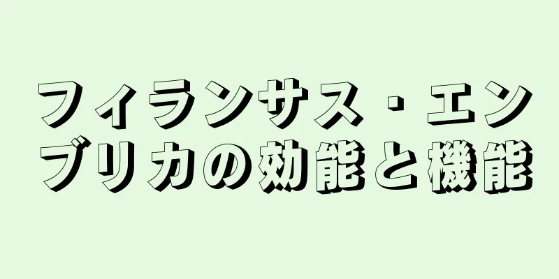 フィランサス・エンブリカの効能と機能