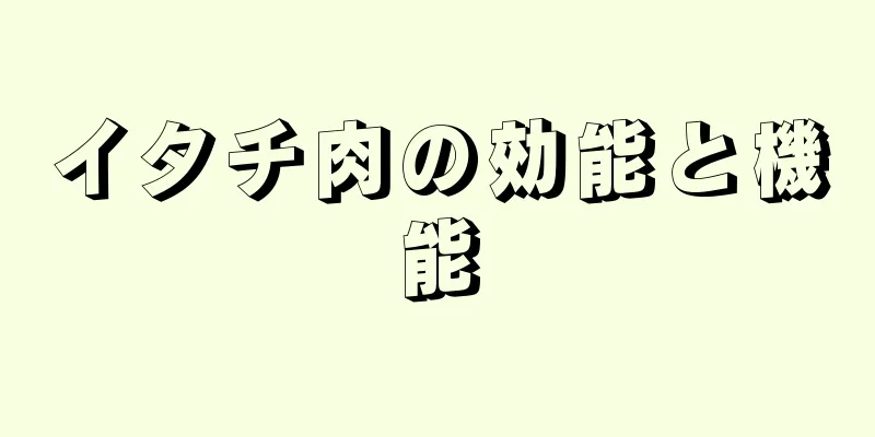 イタチ肉の効能と機能
