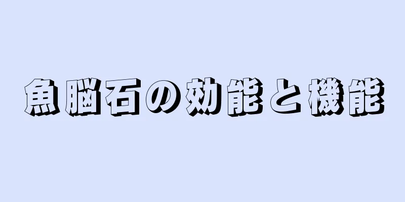 魚脳石の効能と機能