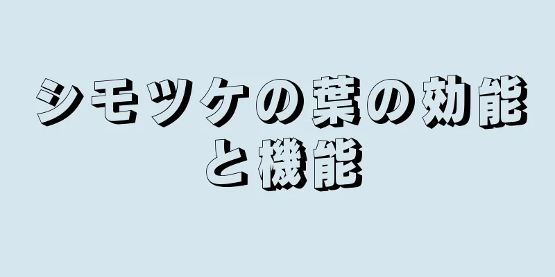シモツケの葉の効能と機能