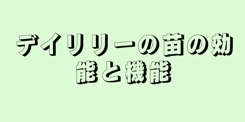 デイリリーの苗の効能と機能